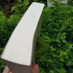 Góp phần nghiên cứu văn hóa và tộc người của GS  Nguyễn Từ Chi 990105