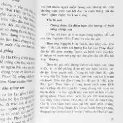 Đà Lạt - Nguồn gốc ngành trồng rau, bảo tồn khu vực cổ (tu chỉnh) 10622