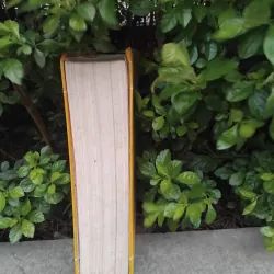 Việt sử cương mục tiết yếu của Đặng Xuân Bảng  1001930