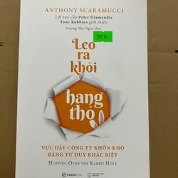 Leo ra khỏi hang thỏ