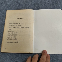MÈO CON CỦA AI? 539779