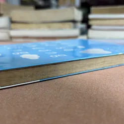 Yêu thương xứ sở, yêu thương đồng bào 🌊 692854