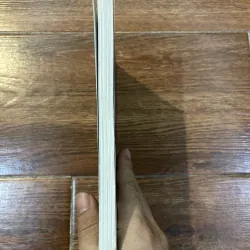 Mỹ thuật Ấn Độ - Roy C Craven (15) 1031673