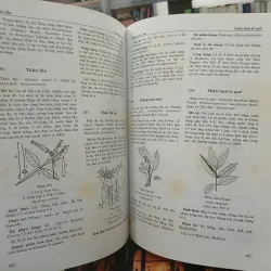 TỪ ĐIỂN CÂY THUỐC VIỆT NAM - VÕ VĂN CHI 455989