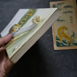 N.p - Banana Yoshimoto 733964