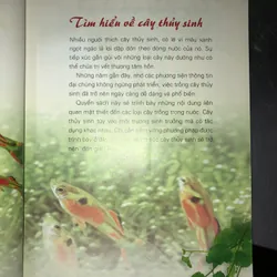 Cây cảnh trong nước - Trồng và chăm sóc 100 loại cây cảnh trong nước  732804