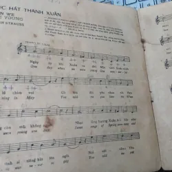 MƯỜI BẨY TÌNH CA BẤT TỬ - PHẠM DUY 996900