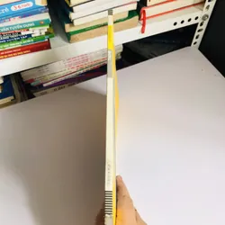 📘 陶艺设计 (Sách về thiết kế gốm sứ – tiếng Trung) 601397