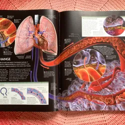 The Human Body Book: An Illustrated Guide to Its Structure, Function and Disorders. 646342