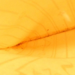 Túi Louis Vuitton Damier Azur Neverfull MM N51107 608584