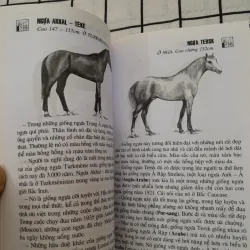 NGỰA & NGỰA TƠ- Nhận dạng 108 loại ngựa trên thế giới. Dịch từ t. Pháp. Tg  David Burn 792190