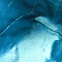 Túi xách Gucci Ophidia 499621 K05NG 612577