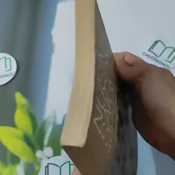 Nữ Sinh Sài Gòn - Một Thời Để Nhớ (1945-1975) 928610