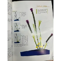 Nghệ thuật cắm hoa theo phong cách Đông Tây hiện đại - Thiên Kim