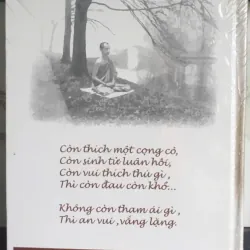 Nơi Bình Yên Tĩnh Lặng 704932