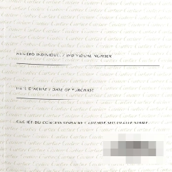 Cartier Mini Benuar YG W1510956 YG Quartz - Hàng hiệu Chính hãng 873855