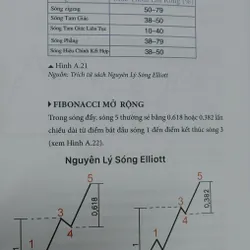 HƯỚNG DẪN GIAO DỊCH THEO SÓNG ELLIOTT 565444