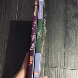 Combo Huệ tím + Đâu mái nhà xưa 690050