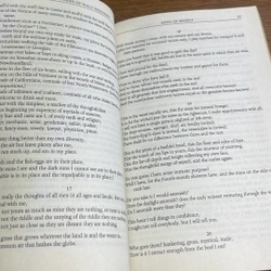 The complete poems of Walt Whitman 493572