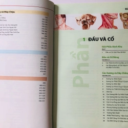 ALAS GIẢI PHẪU NGƯỜI 6 455852