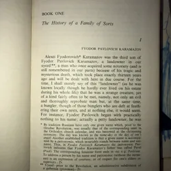 The Karamazov Brothers - Fyodor Dostoevsky 703600