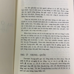 Hương Trà - Đỗ Trọng Huề 336025