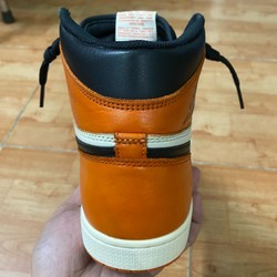 Jordan 1 Shatter Backboard 186419