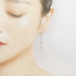 Bông tai PT/PT900 - Hàng hiệu Authentic 868213