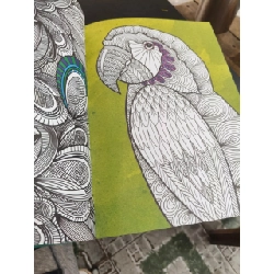 Sắc màu nghệ thuật: liệu pháp tô màu thổi bay stress 800128