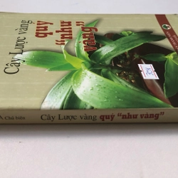 CÂY LƯỢC VÀNG “ QUÝ NHƯ VÀNG “  - 198 trang, nxb: 2010 320249