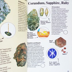 Usborne Spotter's Guides: Rocks & Minerals 195153