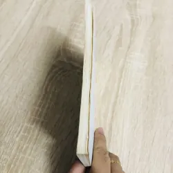 NHỮNG THỬ THÁCH CỦA CUỘC SỐNG LỨA ĐÔI  992391