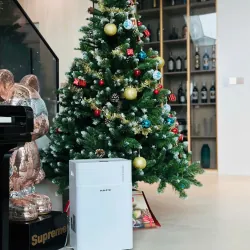 ✨ Máy hút ẩm Kalite DrySense A6 – Dễ sử dụng, an toàn, phù hợp gia đình có trẻ nhỏ! 730758