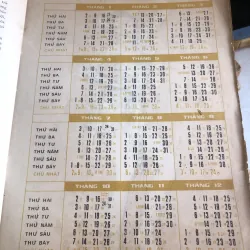 Văn hoá Việt Nam tổng hợp 1989-1995  1041348