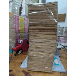 TRUYỆN TRANH ANH EM SINH ĐÔI - HOÀNG TỬ HIẾU THẢO 295866