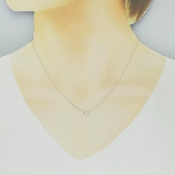 Dây chuyền Tiffany By The Yard - Hàng hiệu Authentic 845017