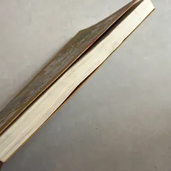 Chuyện cỏn con về “ông cụ non” Roland 783556