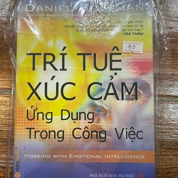 Trí tuệ xúc cảm ứng dụng trong công việc (k4)