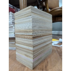 TRUYỆN TRANH Ninja Loạn Thị - SouBee Amako