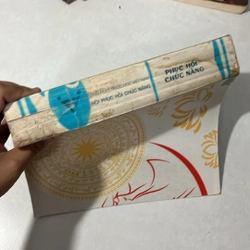 Phục hồi chức năng - 1991s 509454