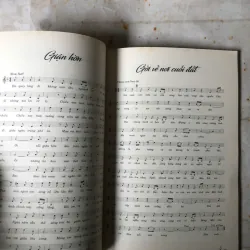 Đêm Gành Hào Nghe Điệu Hoài Lang - Vũ Đức Sao Biển 974417