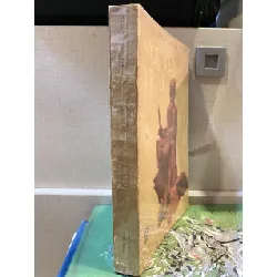 Nguyễn Trãi - Bùi Văn Nguyên 559850