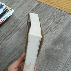 Chân Trời Có Người Bay- Đỗ Lai Thúy 532061
