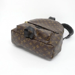 Ba lô Louis Vuitton Monogram Palm Springs MM M44874 610769