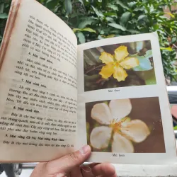 Kỹ Thuật Trồng Và Ghép Mai - Huỳnh Văn Thới 928913