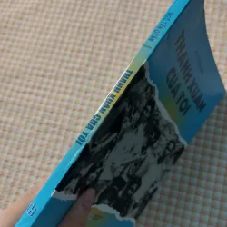 THANH XUÂN CỦA TÔI - NGÔ TẤN QUÂN - Thể loại HỒI KÝ 732328