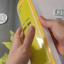 Bài Học Trường Chúa Nhật: Bốn Sách Phúc Âm - Học Viên 3 928515