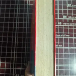 Cuộc đời Đặng Tiểu Bình ( Hưng Quốc Hoàng đế) - Trần Phác 754633