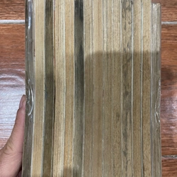 Hiệp sĩ rừng xanh full bộ 14 tập (18) 383836