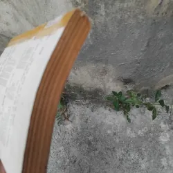 Quang Dũng người và thơ của Hoài Việt ( bản in lần 2 ) 1023973